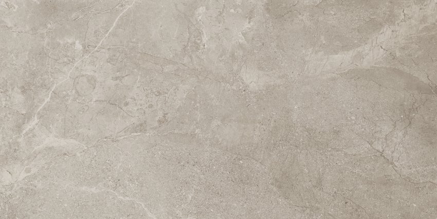 REGENSTONE SILVER mat 60X120
